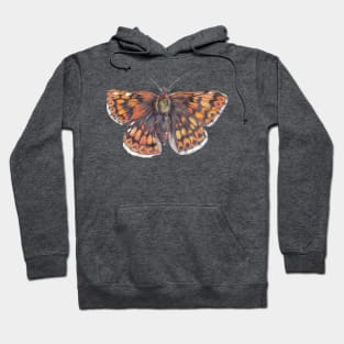 Duke of Burgundy Hoodie